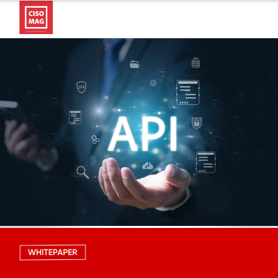 API Security: Best Practices for Vulnerability Mitigation