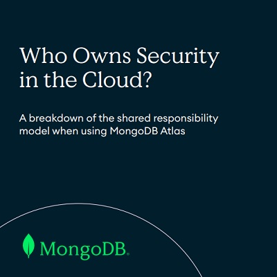 Who Owns Security in the Cloud?